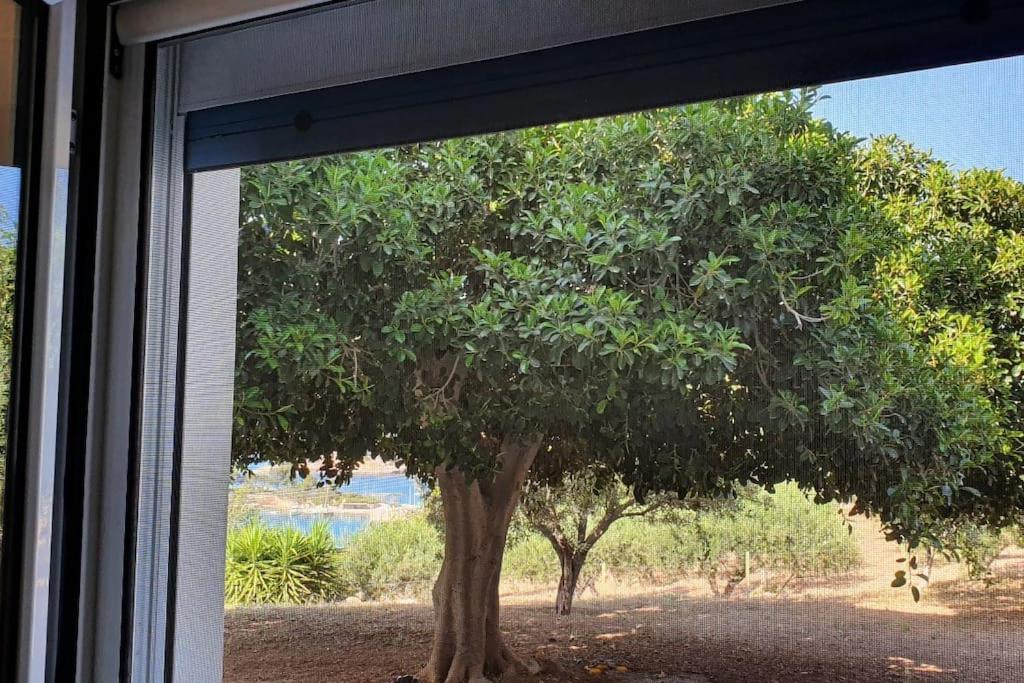 με υπέροχη θέα Kounoupi Porto Heli