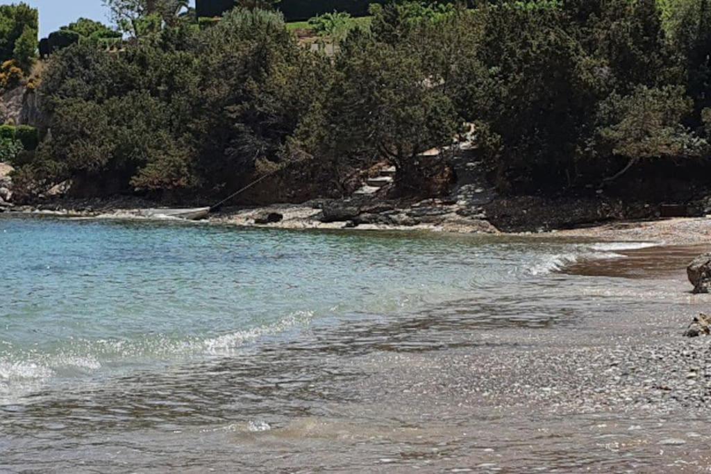 Apartment με υπέροχη θέα Kounoupi *