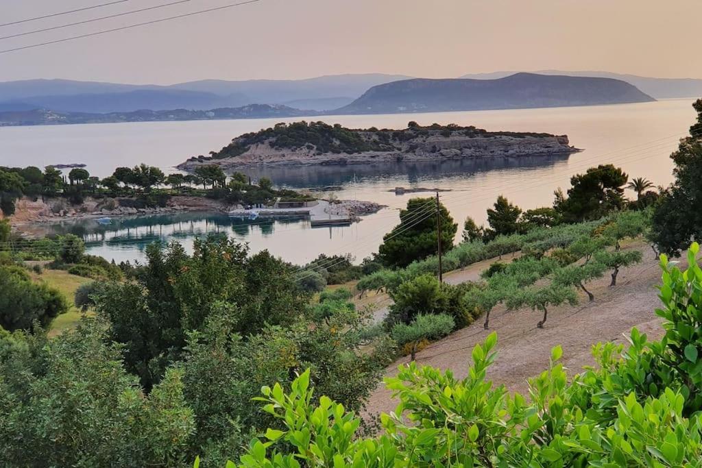 με υπέροχη θέα Kounoupi Apartment *