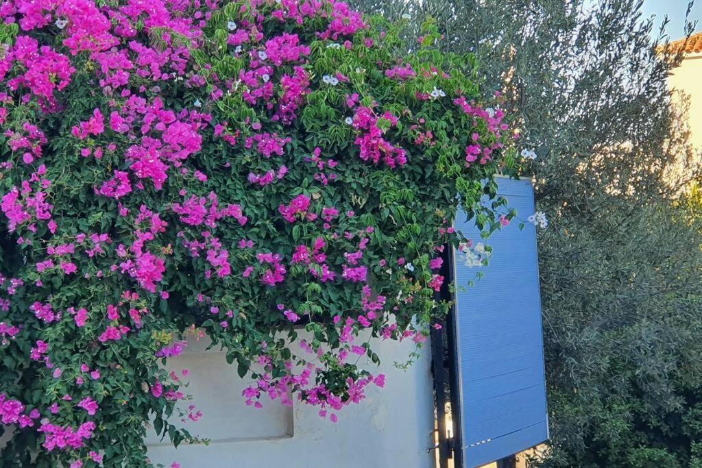 με υπέροχη θέα Kounoupi * Porto Heli