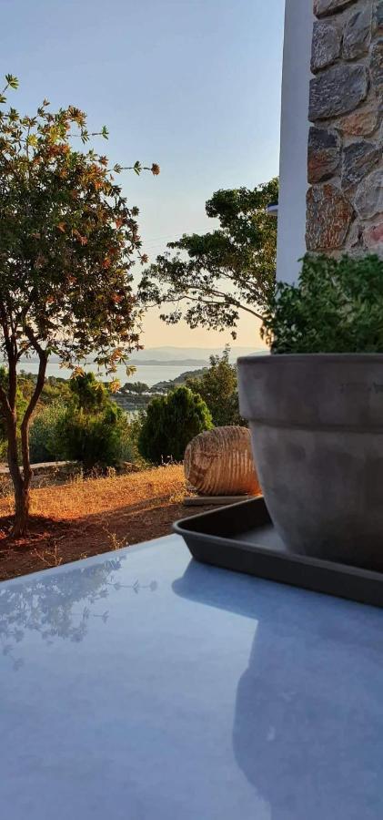 με υπέροχη θέα Kounoupi Apartment